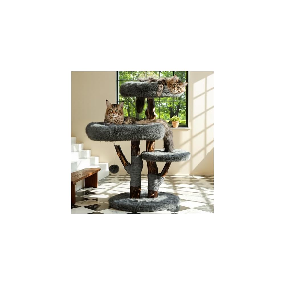 Cat Tree